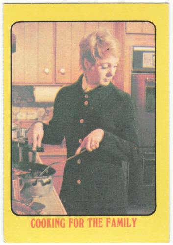 1972 A&BC Partridge Family Cards
