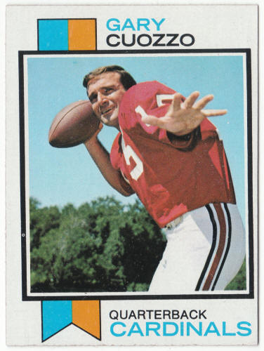 1973 Topps Football #156 Gary Cuozzo