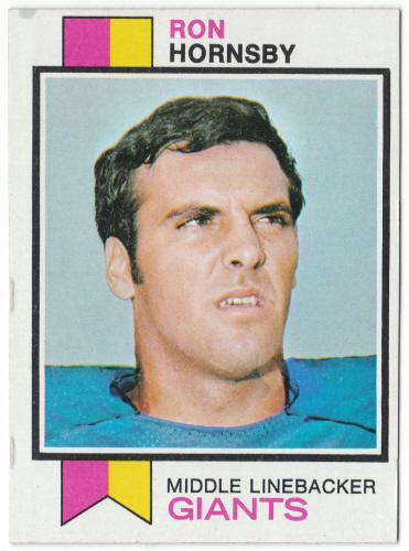 1973 Topps Football #256 Ron Hornsby