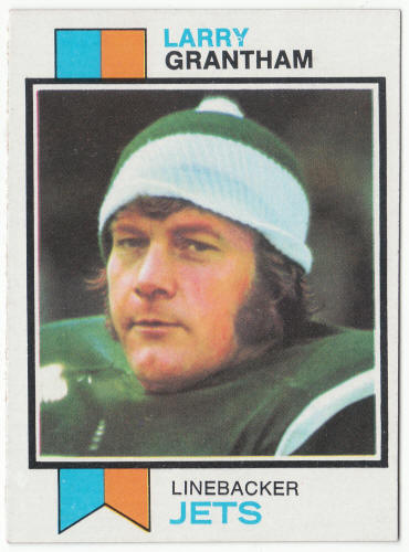 1973 Topps Football #74 Larry Grantham
