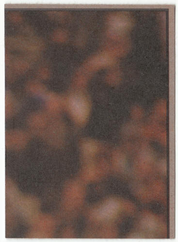 1973 Topps Cleveland Browns Team Checklist back