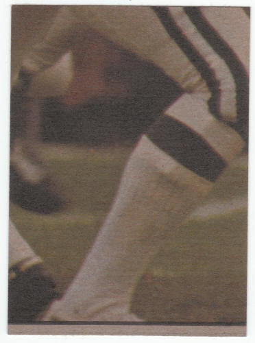 1973 Topps Miami Dolphins Team Checklist back