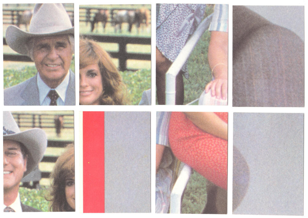 1981 Donruss Dallas Cards backs