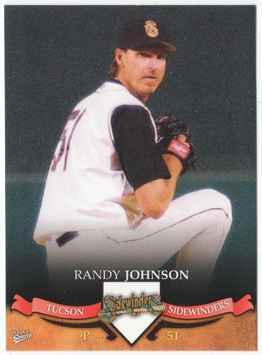 2007 Multi-Ad Sports Tucson Sidewinders Baseball #15 Randy Johnson