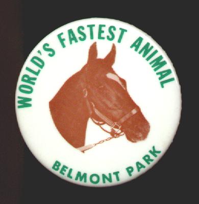 Belmont Park Race Track Button