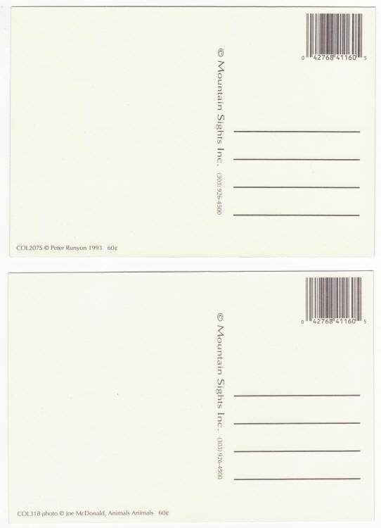 Colorado Animals Post Cards