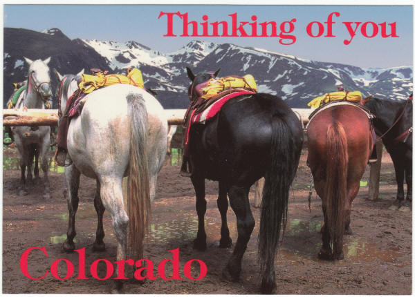 Colorado Thinking Of You Post Card