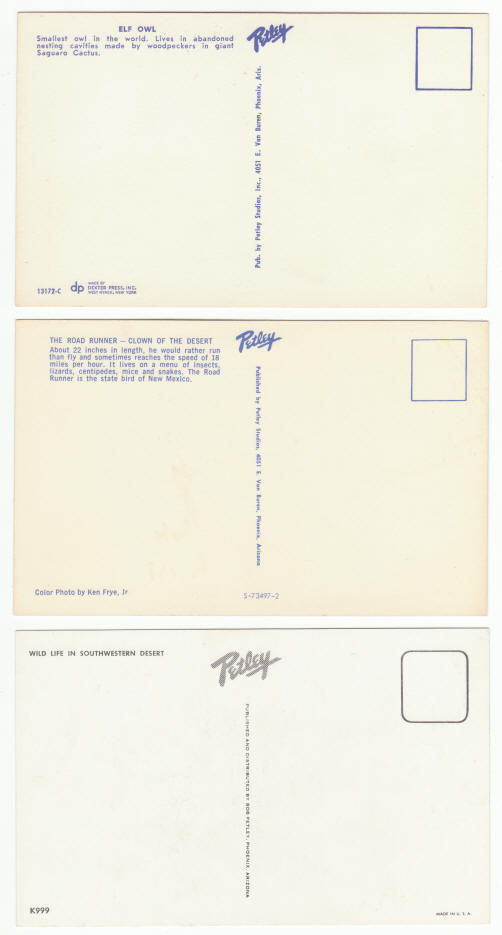 Arizona Sonora Desert Museum Post Cards