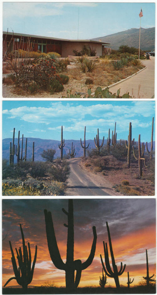 Saguaro National Monument Post Cards 1960s