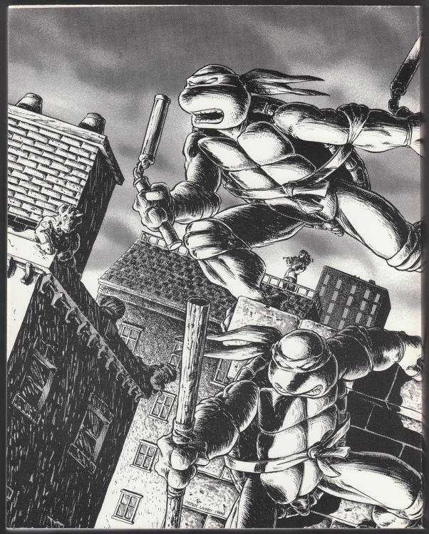 Teenage Mutant Ninja Turtles Volume 1 back cover
